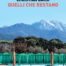 Quelli Che Restano di Christian Barsi